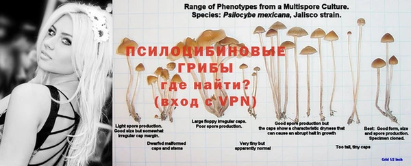jwh Куйбышев